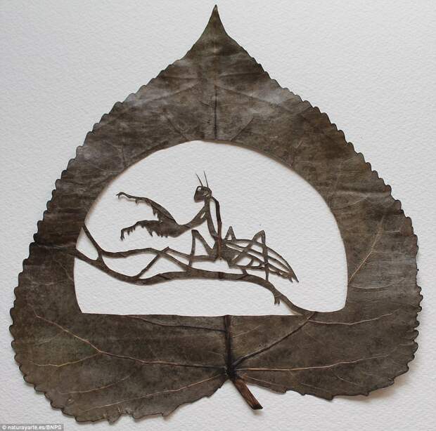 Лоренцо Дюран Силва, 43, был вдохновлен, чтобы создать тонкие кусочки после просмотра гусеницу сделать отверстия в листе, поедая его
