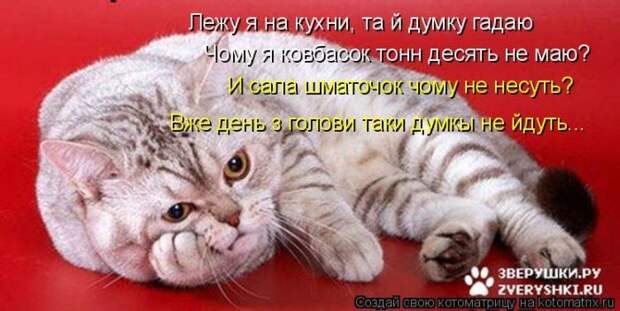 Мысли вслух :)