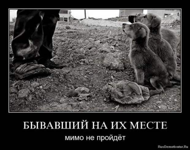 новые демотиваторы со смыслом
