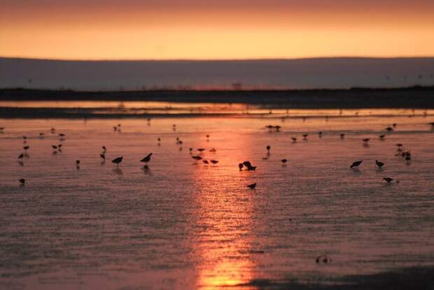 Фото: ecologyofrussia.ru Фото: ecologyofrussia.ru