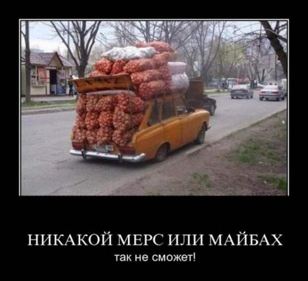 Смешные демотиваторы - залог позитивных выходных!