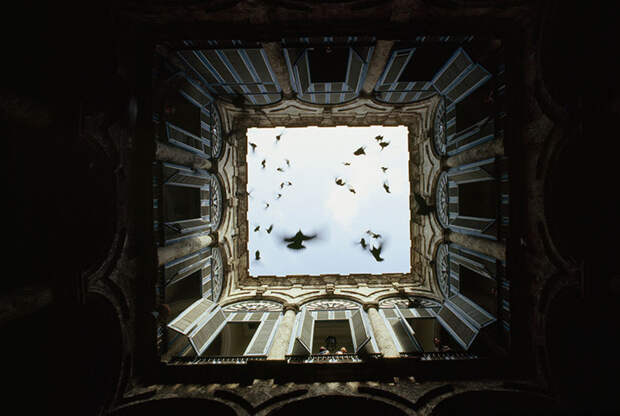 14. Стая птиц вылетают из закрытого внутреннего двора. Старая Гавана, декабрь 1987 national geographic, история, природа, фотография