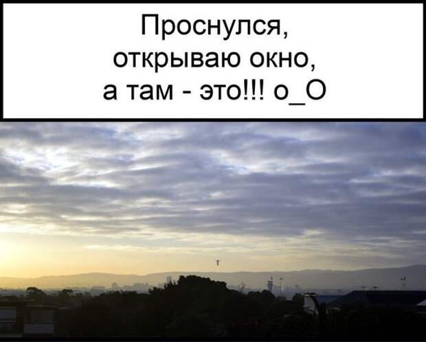 Однажды в Бразилии бразилия, статуя, чемпионат мира