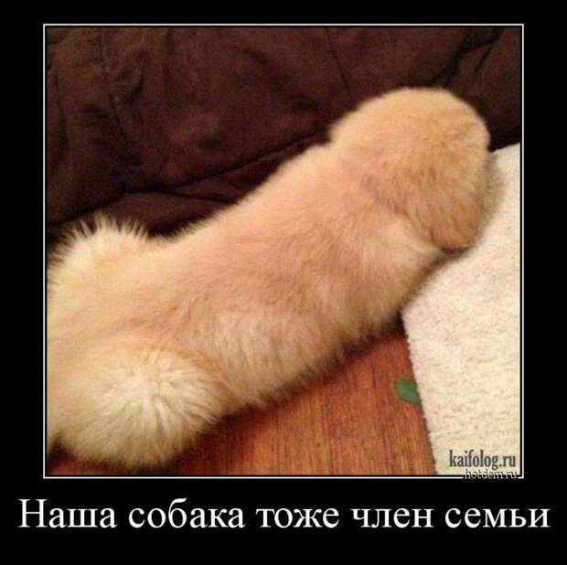 Смешные демотиваторы - 252 (55 демотиваторов)