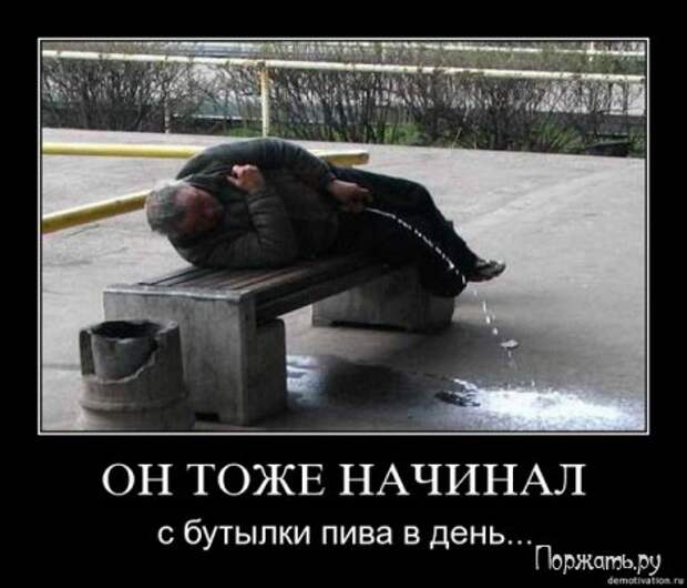 Демотиваторы (21 фото)