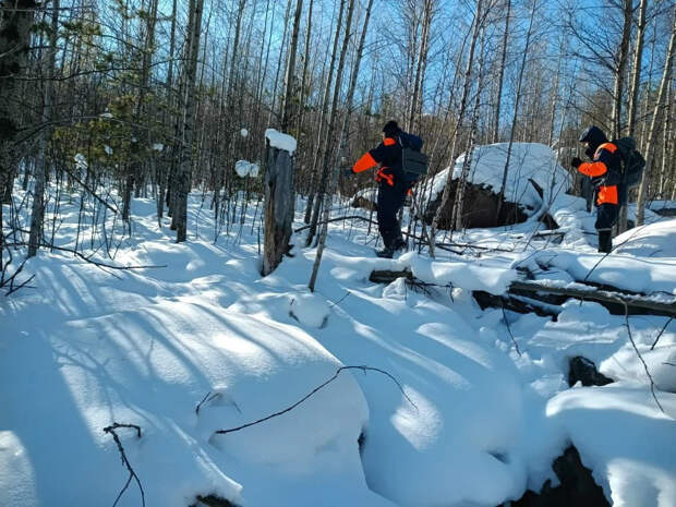"Чудеса бывают": чем завершились новые поиски Усольцевых