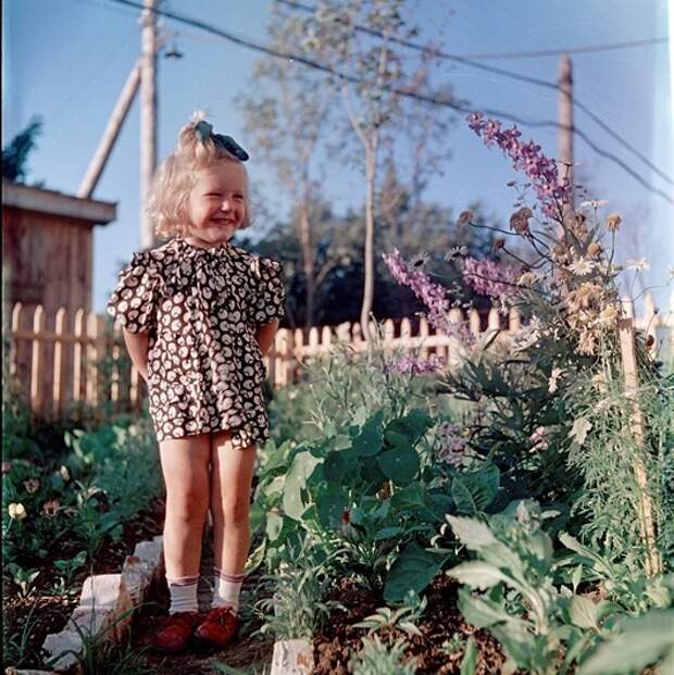clip_image008[5]