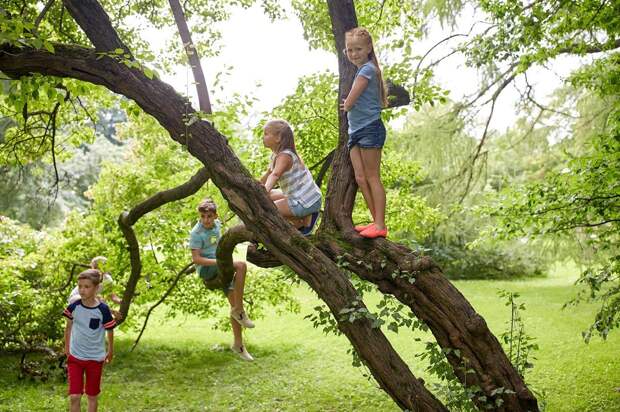 friendship, childhood, leisure and people concept - group of happy kids or friends climbing up tree and having fun in summer park