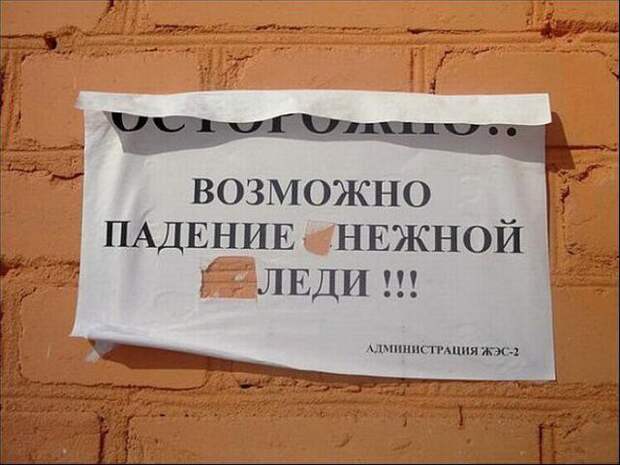 2. В ожидании «нежной леди» 2. В ожидании «нежной леди» весна, весна близко, подборка фото, смешные фотографии
