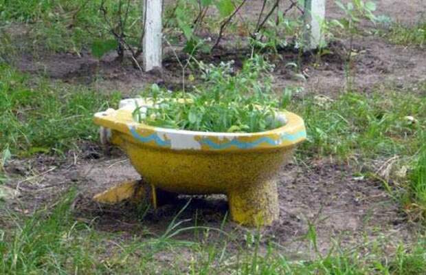 унитаз вместо вазона