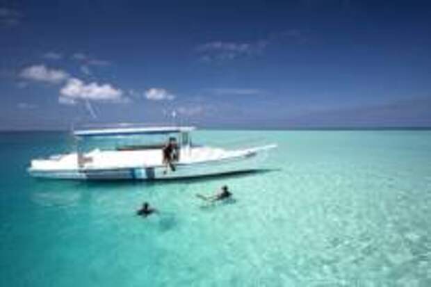 Дайвинг как искусство: погружаемся в яркий подводный мир Velassaru Maldives