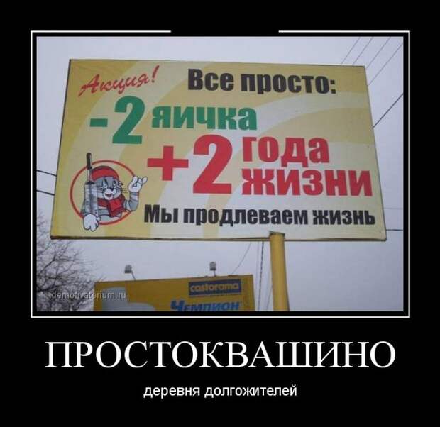Демотиваторы демотиваторы