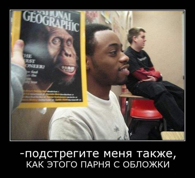 Демотиваторы (133 картинки)