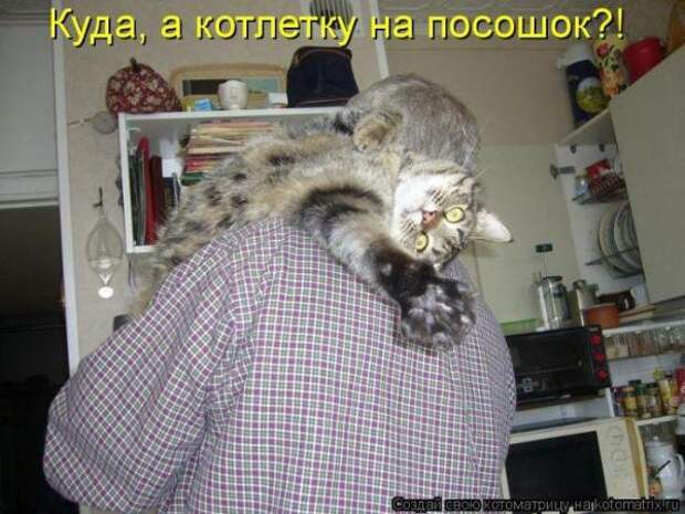 Котоматрица Котоматрица