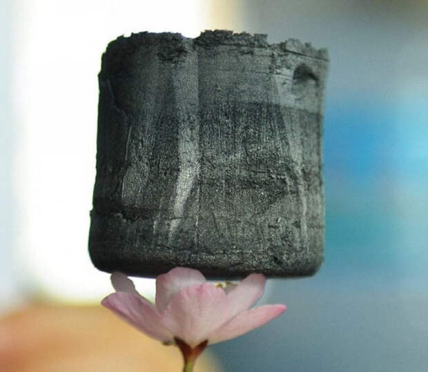 самые удивительные фотографии в мире 