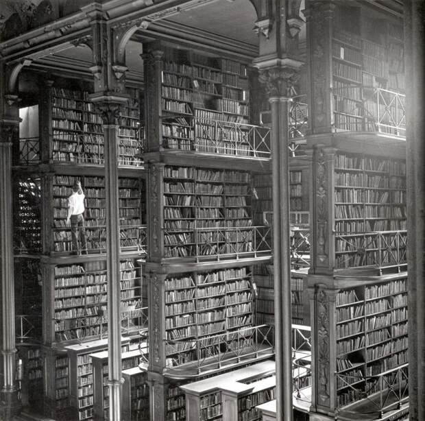 magnifique-bibliotheque-16