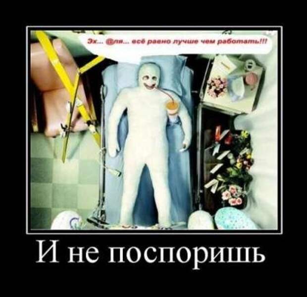 Фотографии с прикольными подписями, новые демотиваторы.
