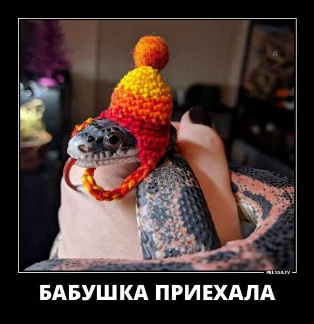 Прикольные демотиваторы с надписями. Подборка chert-poberi-dem-chert-poberi-dem-29310421092020-17 картинка chert-poberi-dem-29310421092020-17