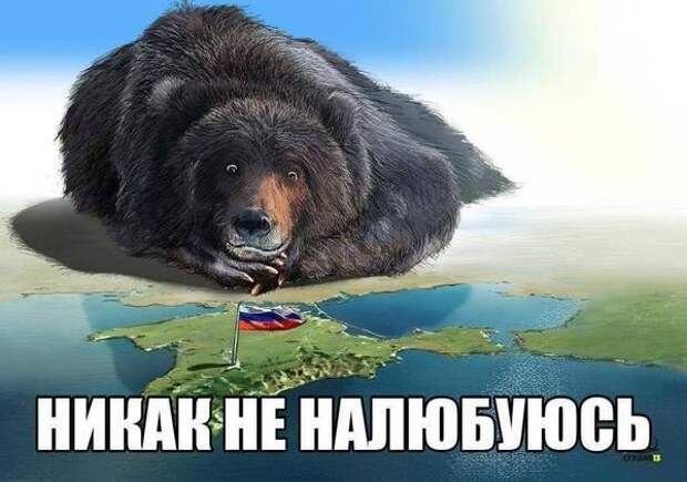 Политика: Возвращение Крыма? Не смешите мои тапочки!...