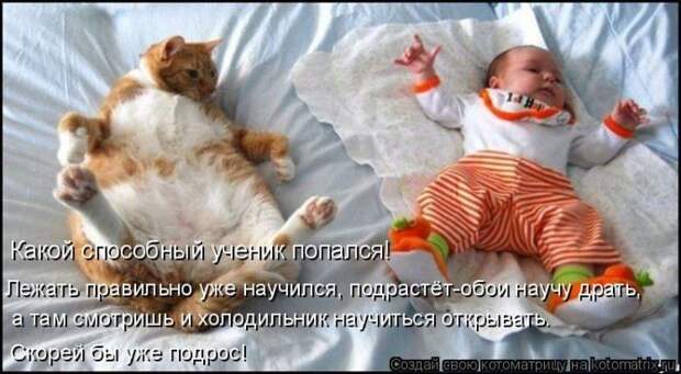 Мысли вслух :)
