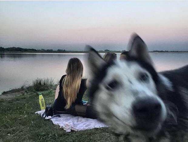 Фотоподборка
