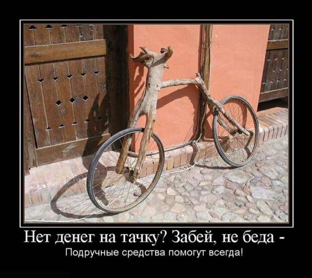 Демотиваторы (31 фото)