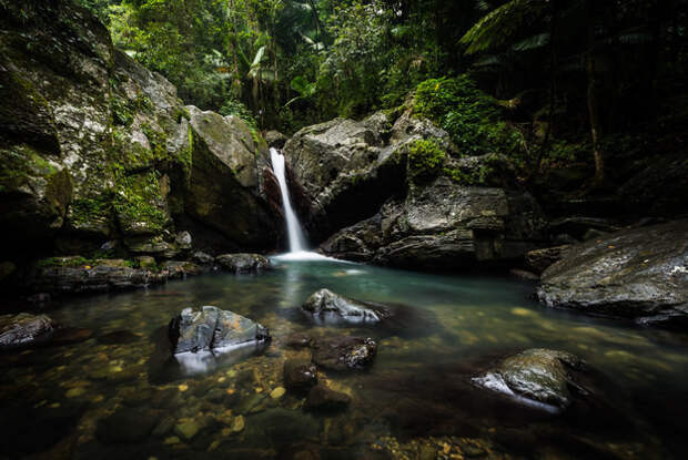 4. Великолепных, роскошных тропических лесов в Пуэрто-Рико, конечно, не найти. Пуэрто Рико, туризм