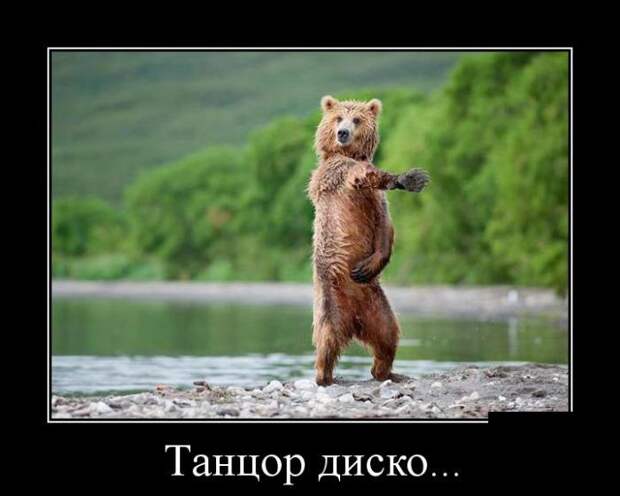 Танцор диско... демотиватор, юмор