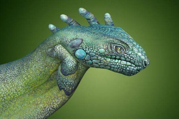 Рисунки на руках игуана
