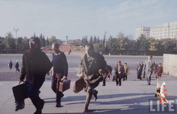 3381921845278579819 (700x451, 75Kb)