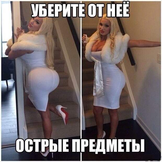 Картинки с забавными подписями