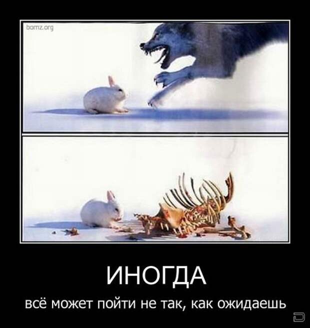Демотиваторы 18.02.11
