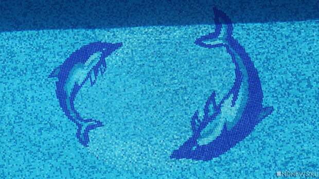 Российских пловцов допустили к соревнованиям с флагом и гимном