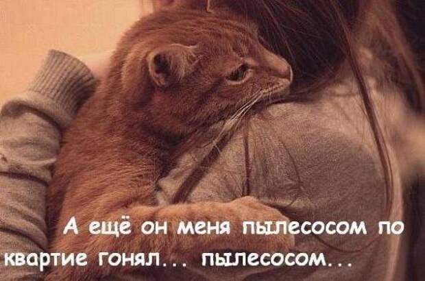 Картинки, юмор, приколы