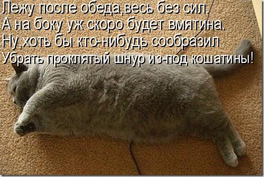 1076516