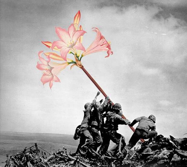 нет войне художник заменил оружие на цветы на исторических военных снимках (2)