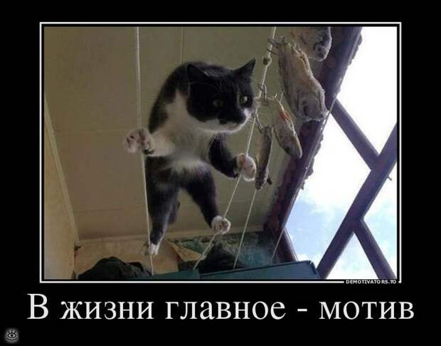О, горе всем нам! 19