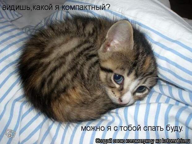 Мысли вслух :)