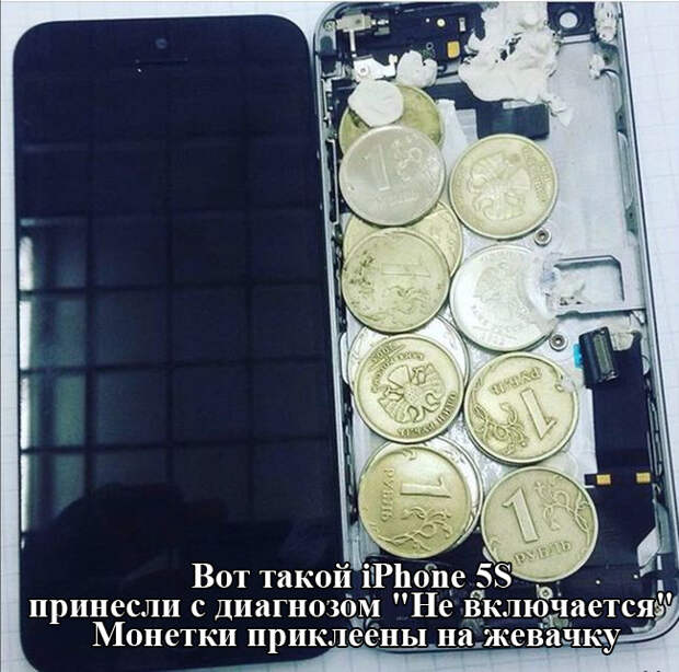Прикольные картинки картинки, прикол, юмор