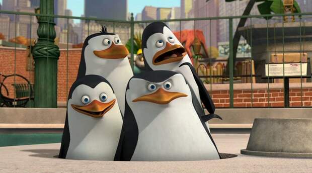 Пресечена дерзкая попытка массового побега пингвинов из зоопарка в Дании . Чистый мульт "Мадагаскар", яплакалЬ!