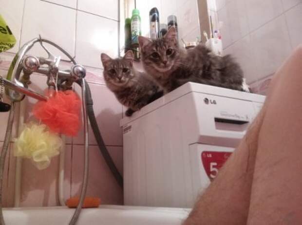 Фото приколы, что бы пятница удалась.
