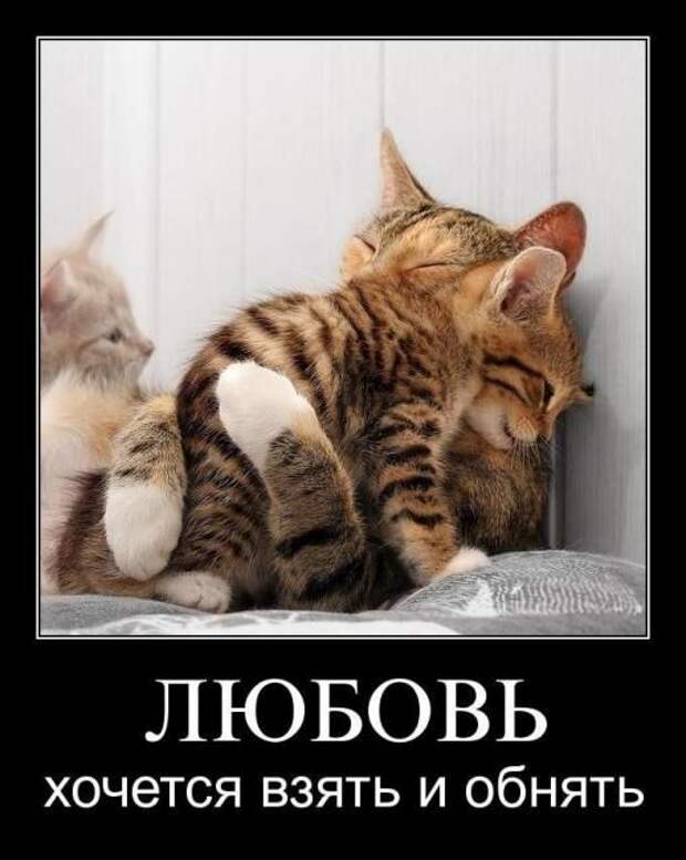 Демотиваторы (30 фото) Демотиваторы (30 фото)