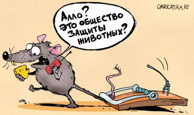 Карикатуры