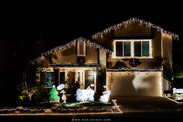 Christmas Card Lane 0-25.jpg