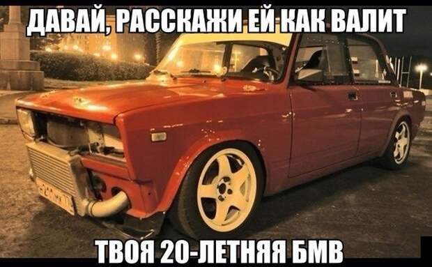 Смешные картинки с подписями катинки, прикол, юмор