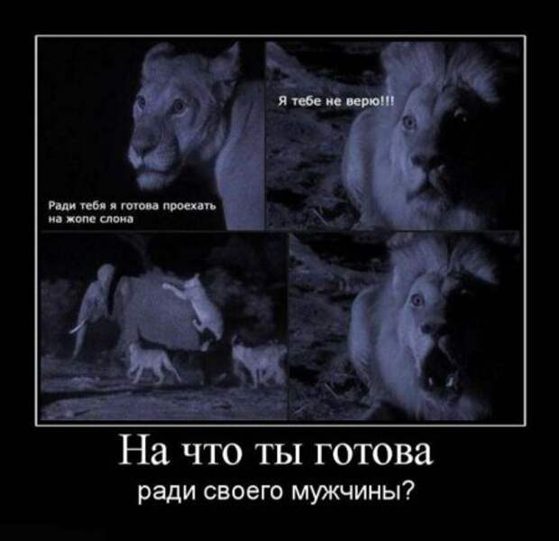 Прикольные демотиваторы только для Вас!