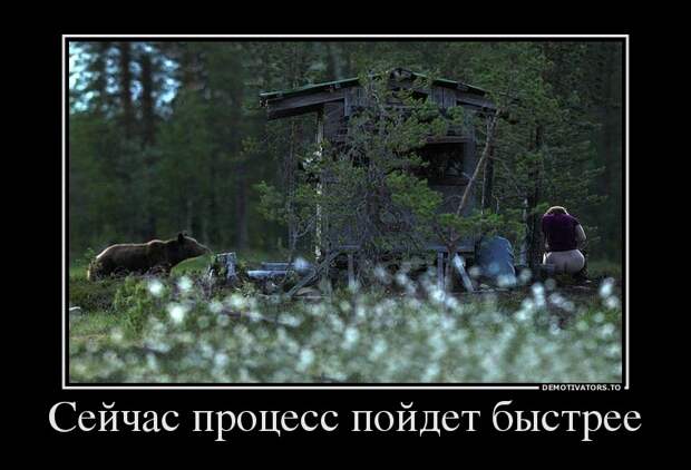 Веселые и ржачные демотиваторы для поднятия настроения (10 фото)