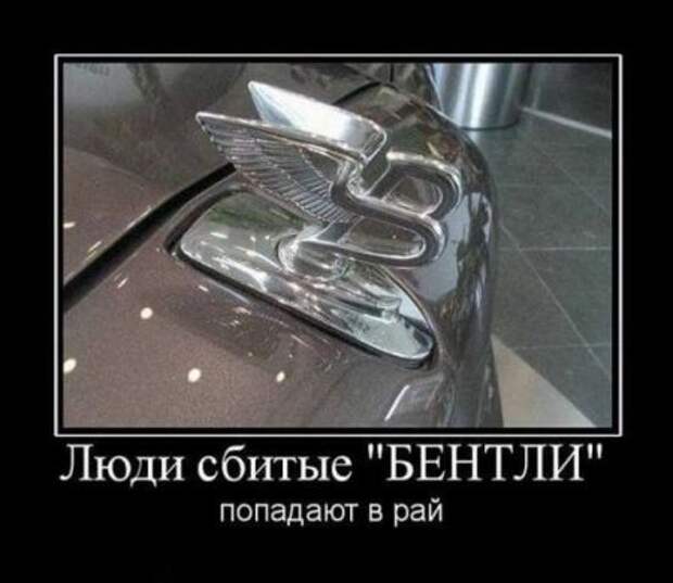 Демотиваторы, классные приколы в картинках на сегодня.