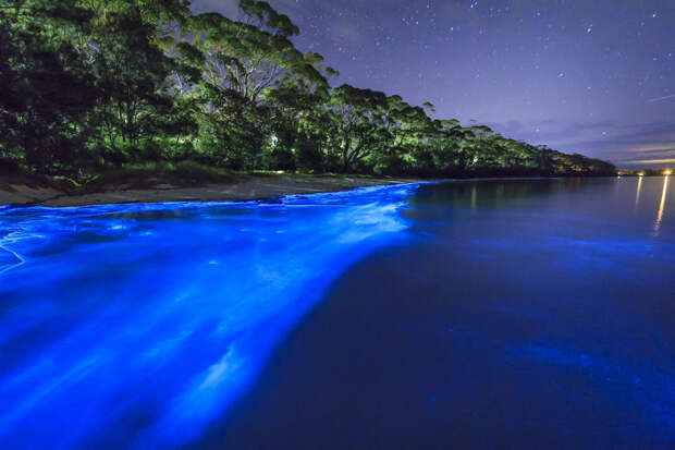 Биолюминесцентные волны на острове Ваадху, Мальдивы природа, феномен