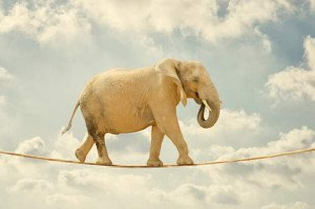 future-manufacturers-agile-like-software-companies-2